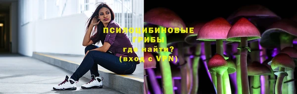 мдпв Володарск