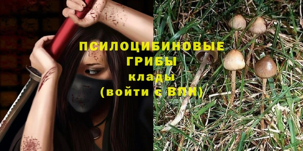 мдпв Володарск