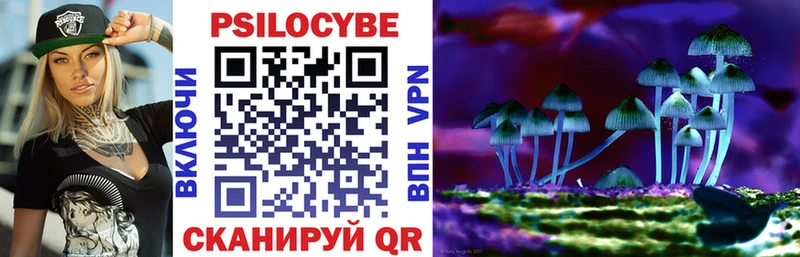 Псилоцибиновые грибы прущие грибы Катав-Ивановск