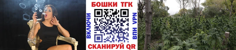 Бошки Шишки тримм  где купить   кракен   Катав-Ивановск 
